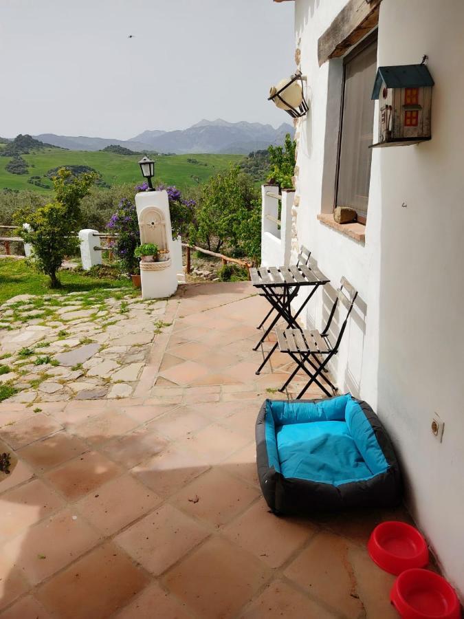 Villa Huerta Nacimiento Монтекорто Экстерьер фото